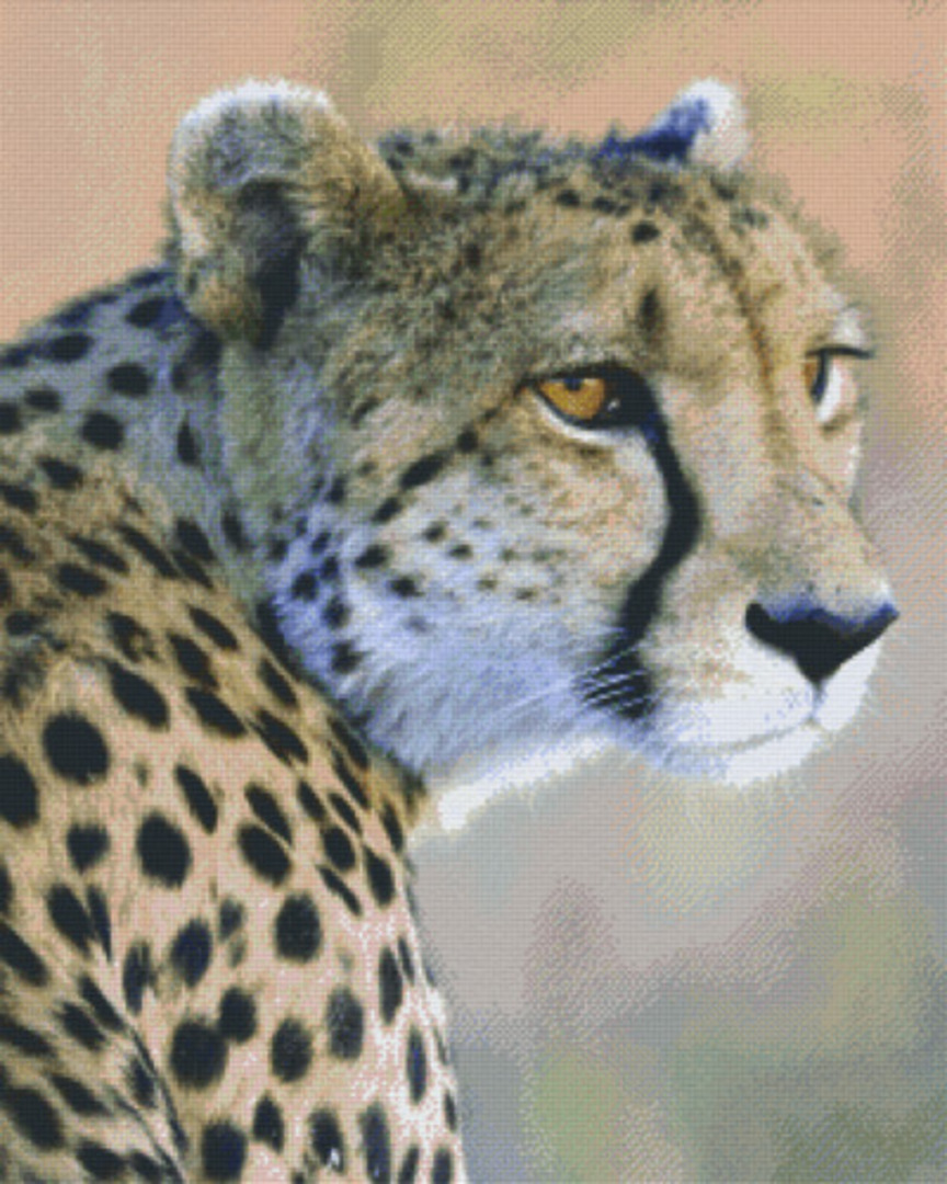 Cheetah Thirty Six [36] Baseplate PixelHobby Mini-mosaic Art Kit image 0